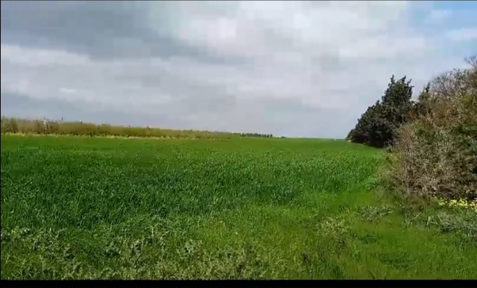 Jedaida Chaouat Terrain Terrain agricole Terrain jdaida chaouat