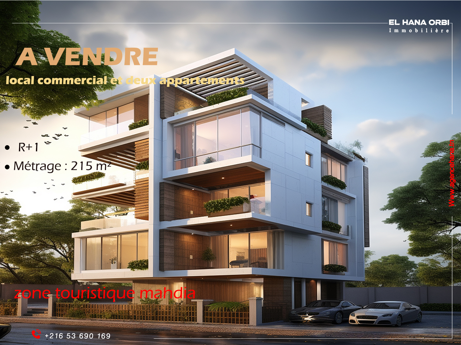 Mahdia Mahdia Vente Surfaces Local commercial deux appts sur route principale