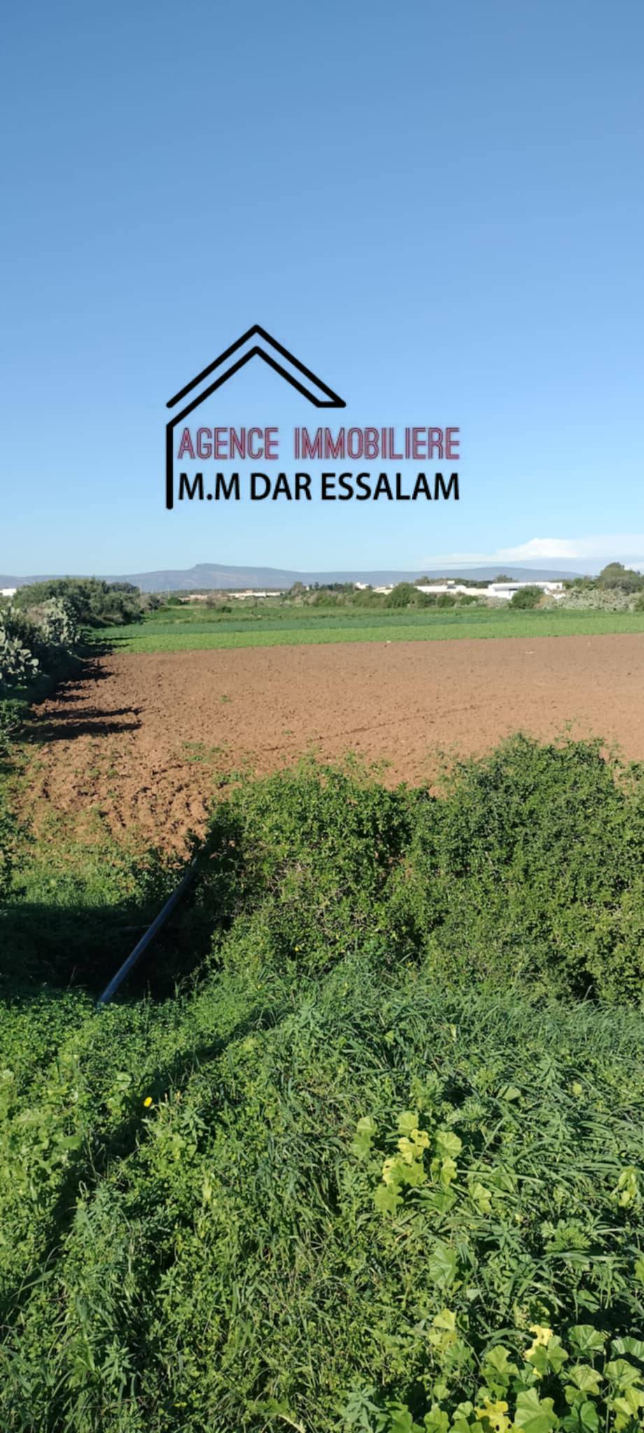 Menzel Temime Damous Terrain Terrain agricole Terrain agricole  menzel temime