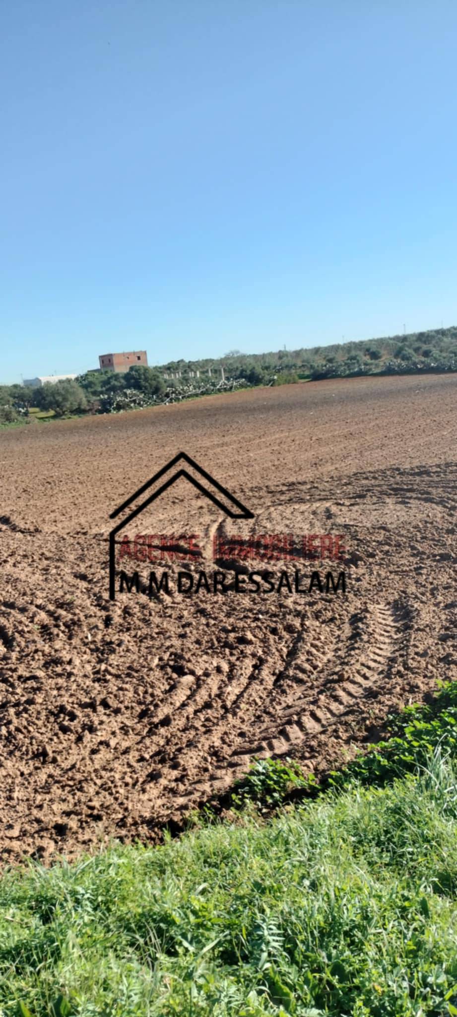 Menzel Temime Damous Terrain Terrain agricole Terrain agricole  menzel temime