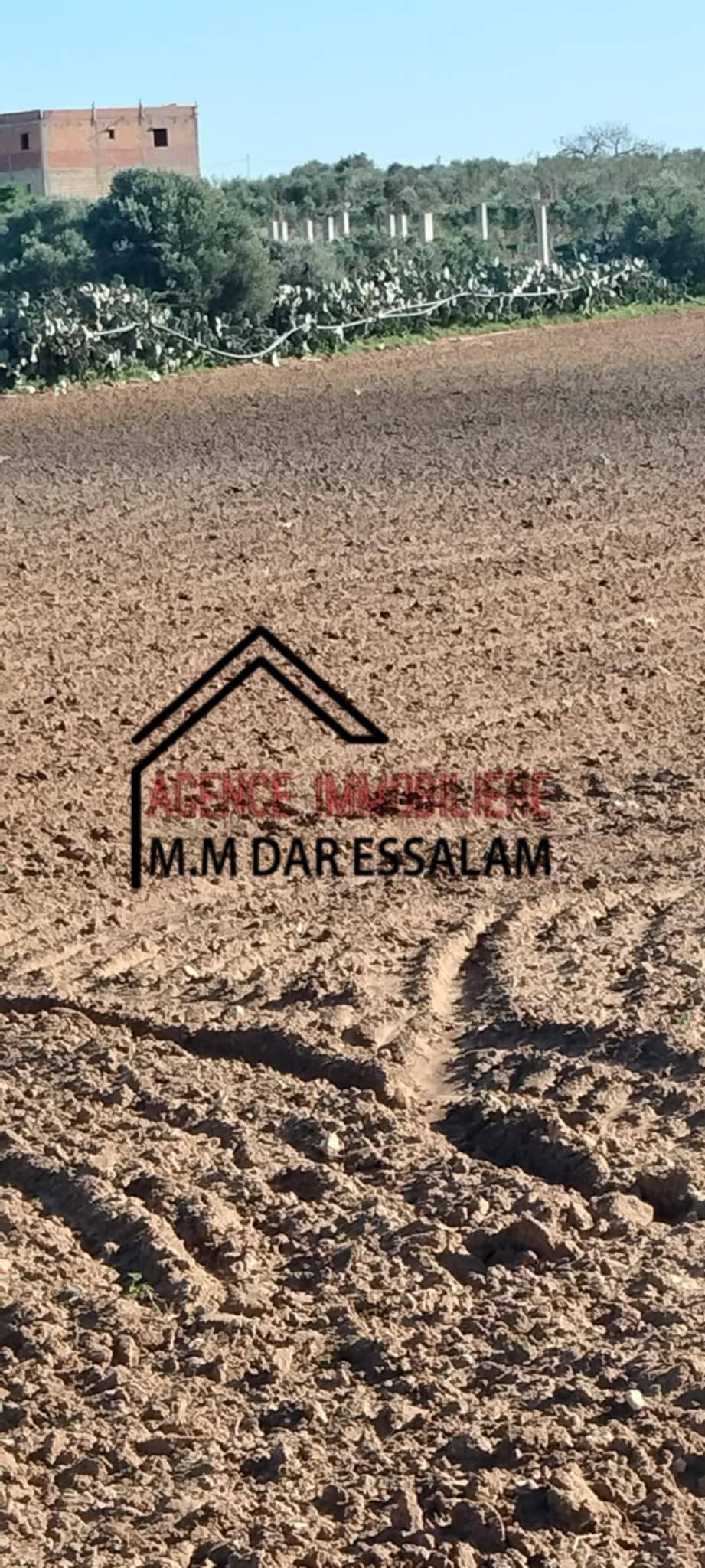 Menzel Temime Damous Terrain Terrain agricole Terrain agricole  menzel temime