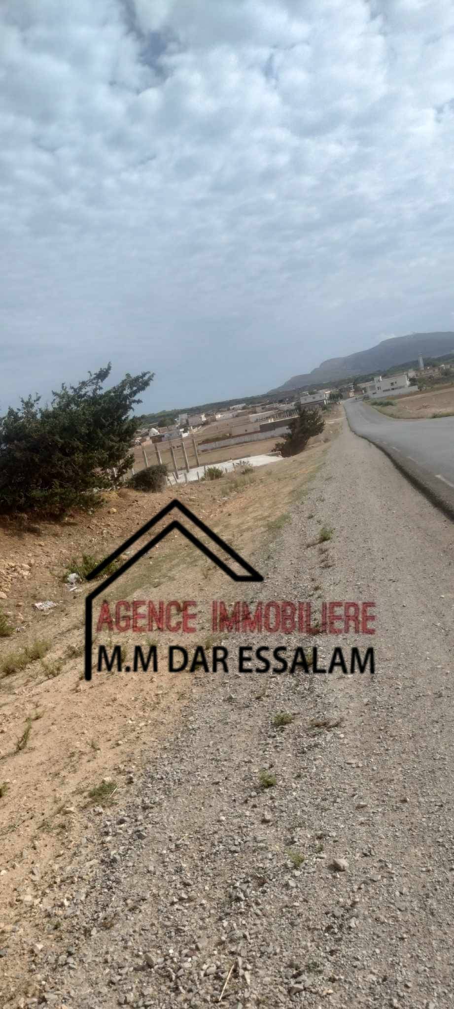 El Haouaria Menzel Salem Terrain Terrain nu Terrain  menzel salem