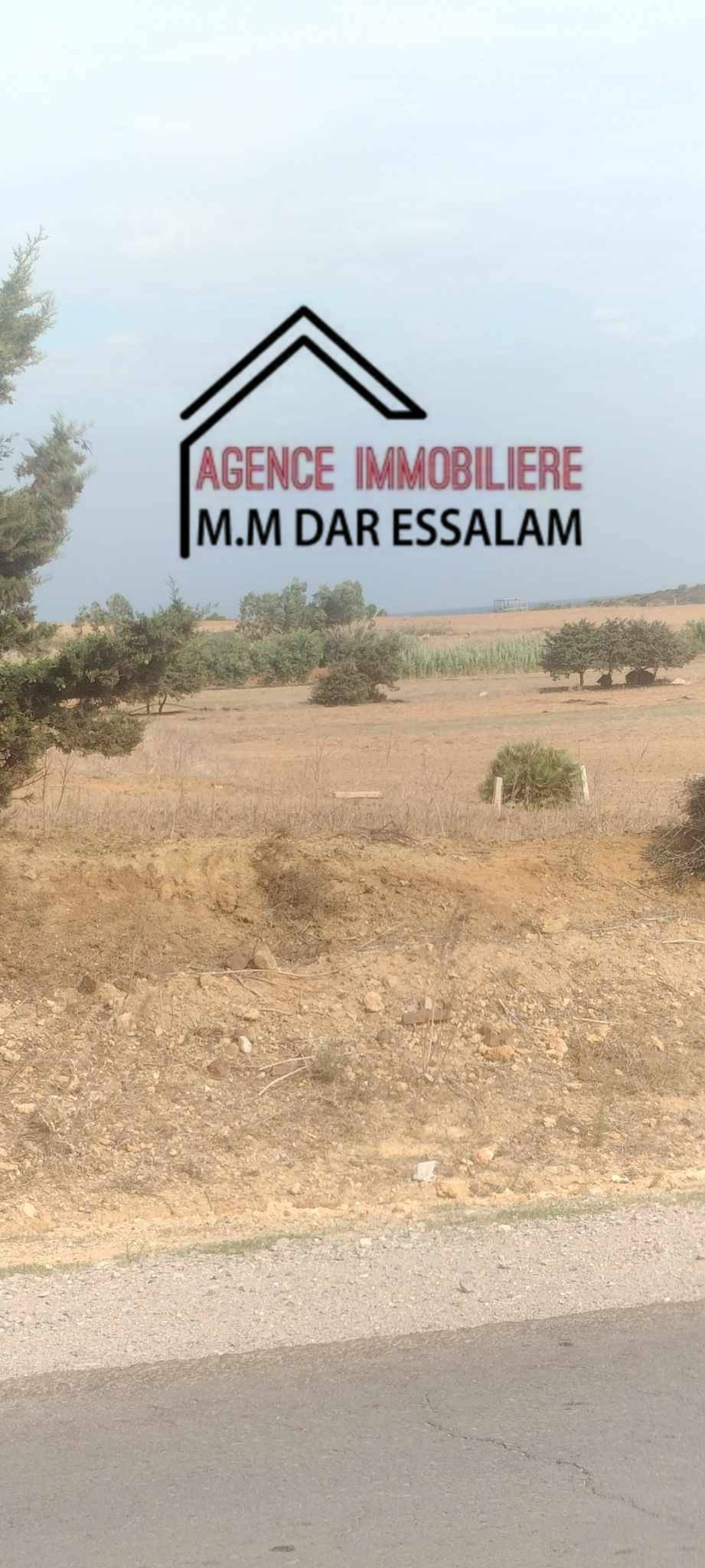 El Haouaria Menzel Salem Terrain Terrain nu Terrain  menzel salem