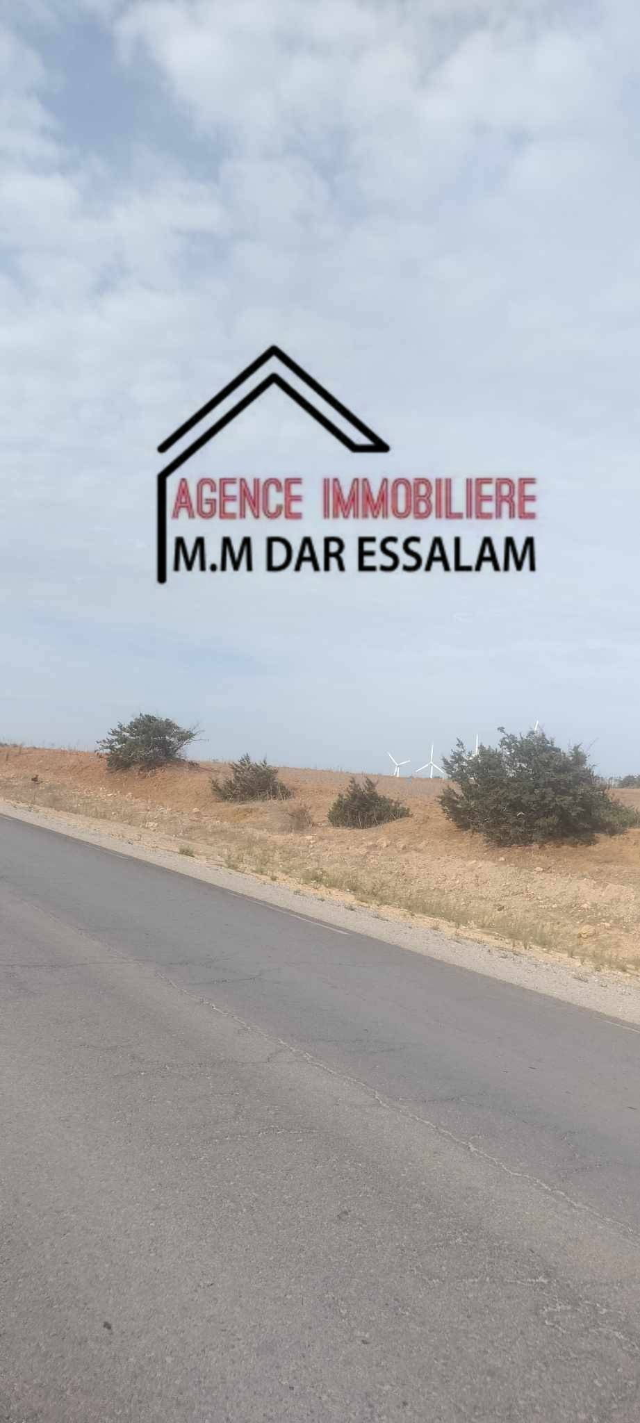 El Haouaria Menzel Salem Terrain Terrain nu Terrain  menzel salem