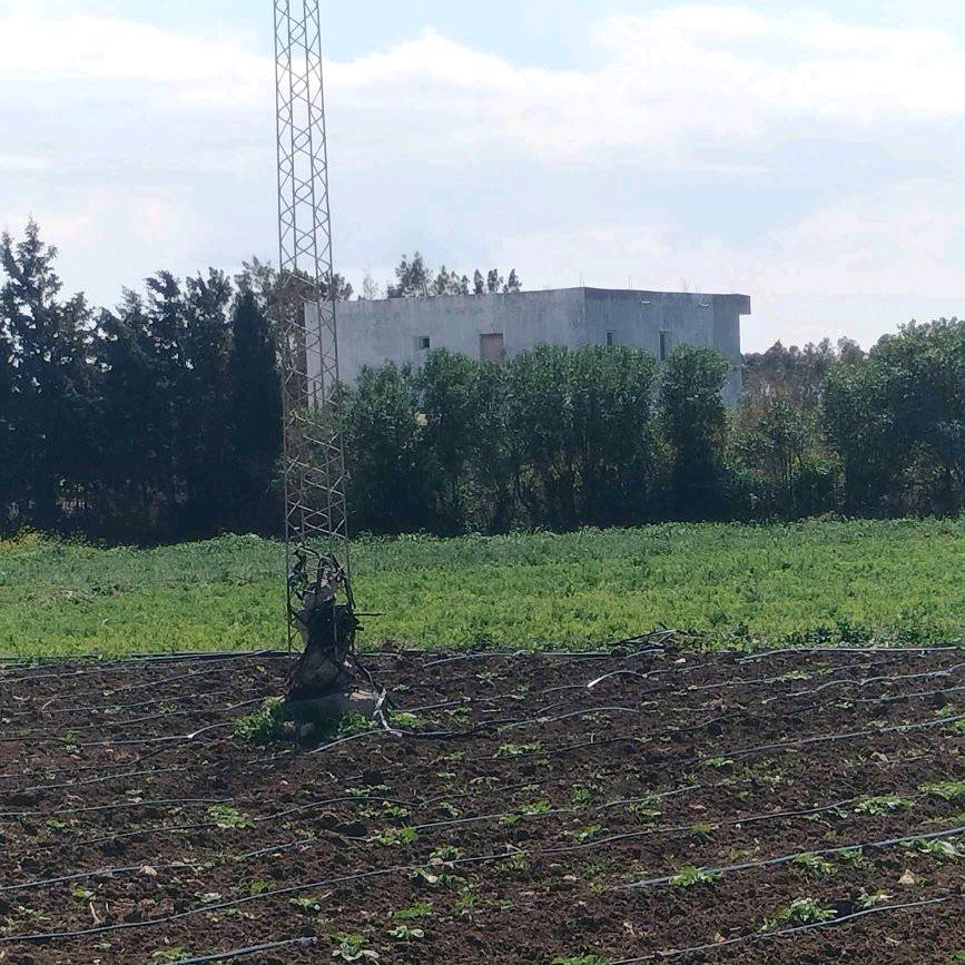 Kelibia Dar Chichou Terrain Terrain agricole Terrain agricole prs de dar allouche