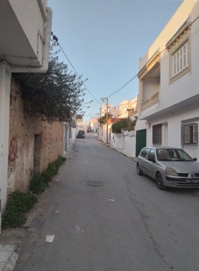 Hammamet Hammamet Vente Maisons Maison s1 hammamet nord
