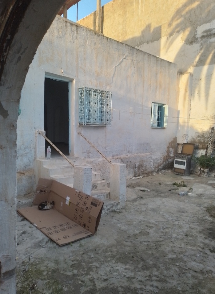 Hammamet Hammamet Vente Maisons Maison s1 hammamet nord