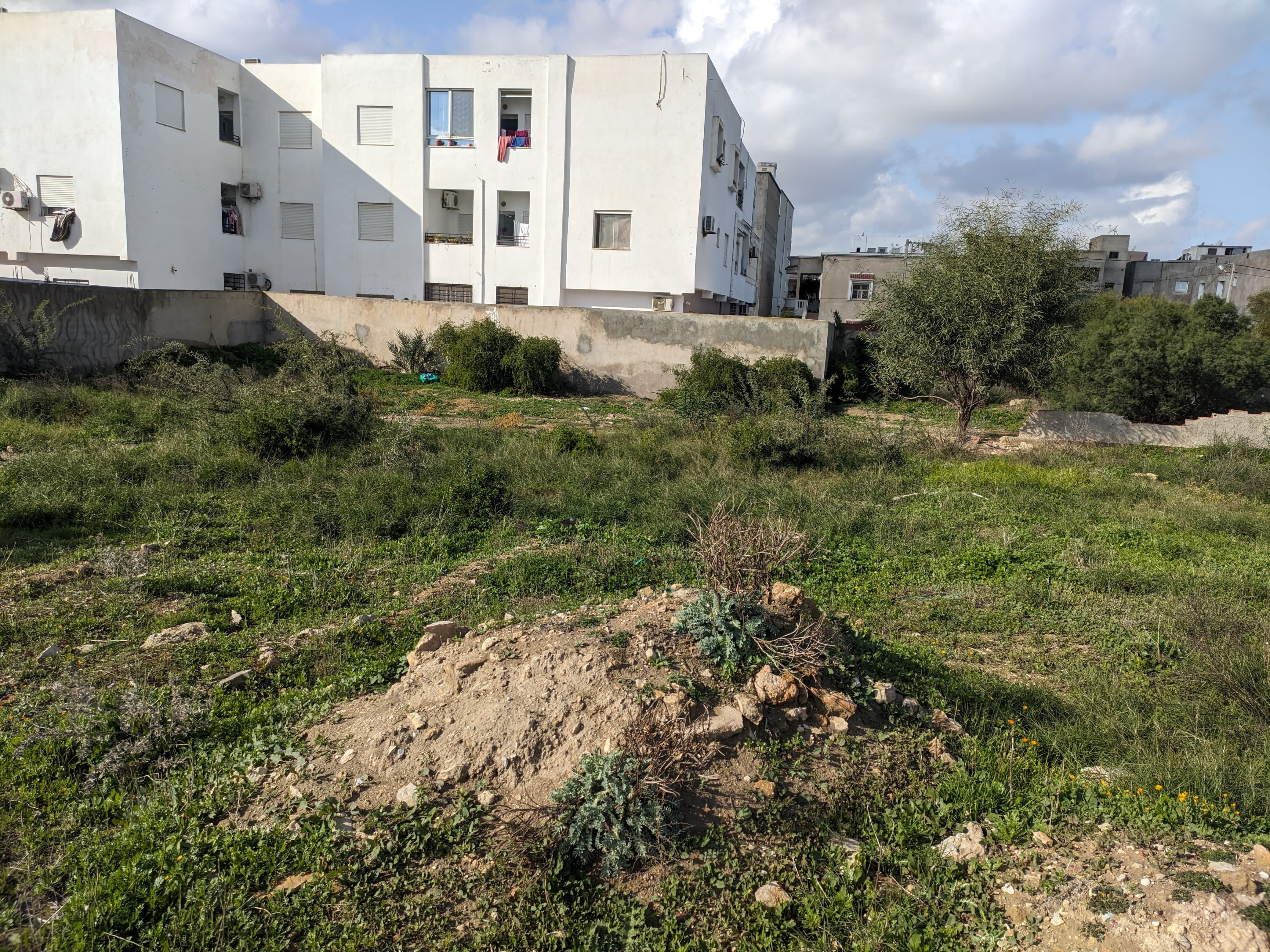 La Soukra Chotrana 1 Terrain Terrain nu 450m chotrana 1 la soukra