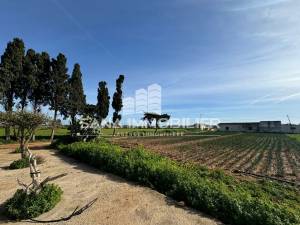 Menzel Temime Chatt Ezzouhour Vente Surfaces Terrain agricole avec maison   ref177a