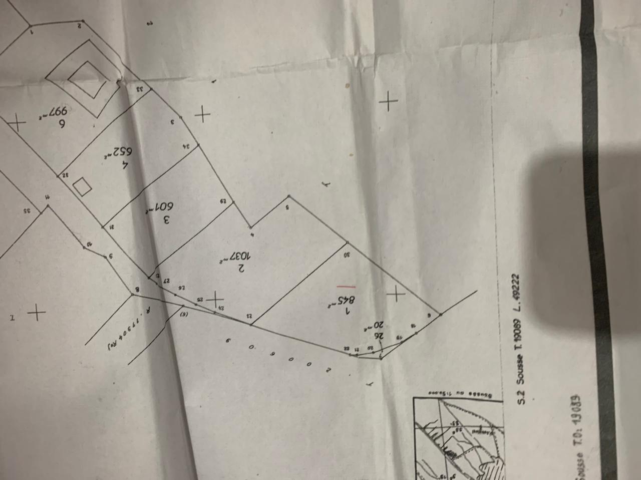 Sousse Ville Sousse Terrain Terrain nu Vend terrain trs bien situ a khazama
