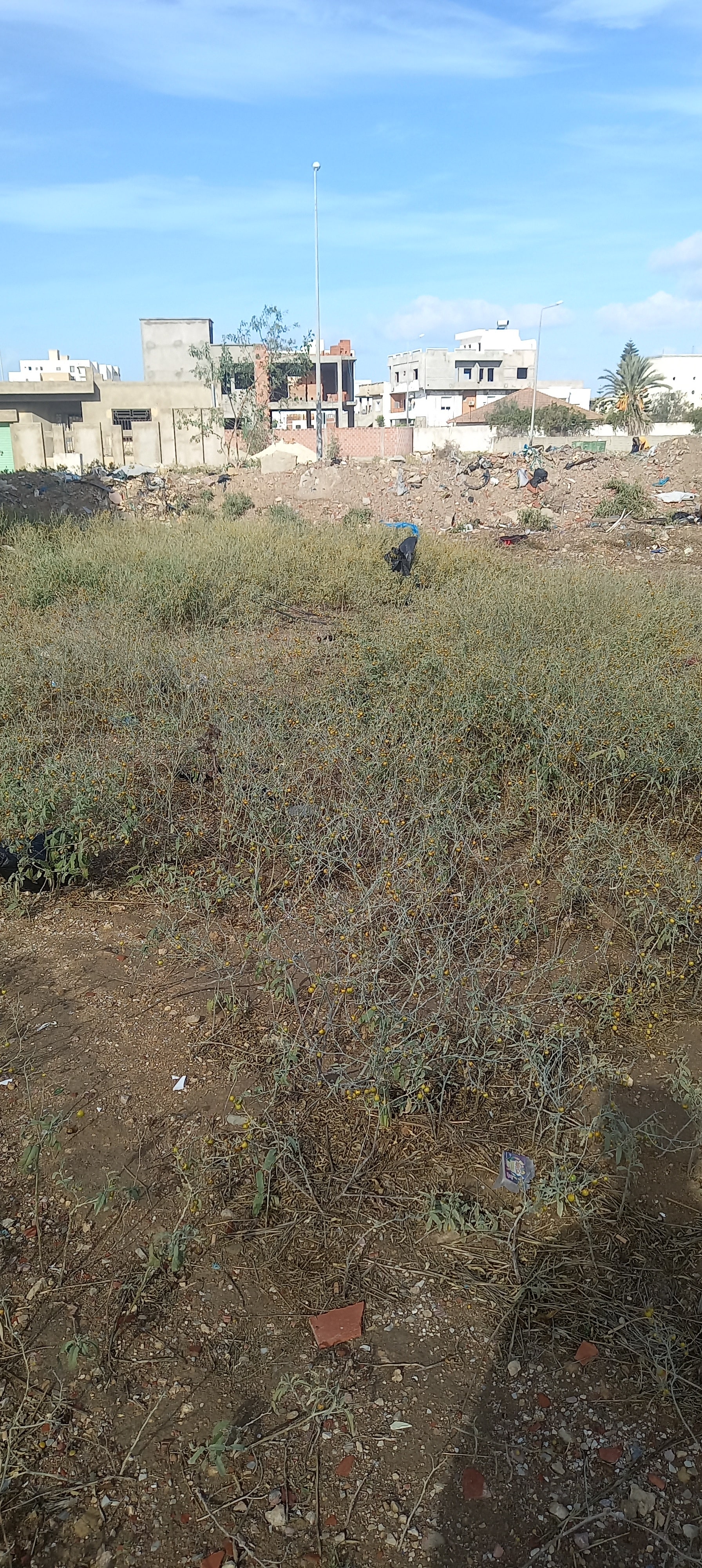 La Soukra Borj Louzir Terrain Terrain nu Terrain a batir