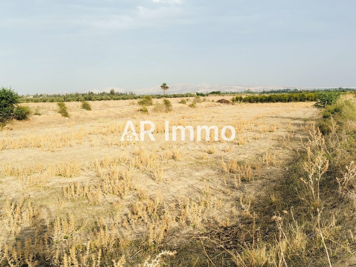 Tebourba Tebourba Vente Autre Lots de terrains   jedaida