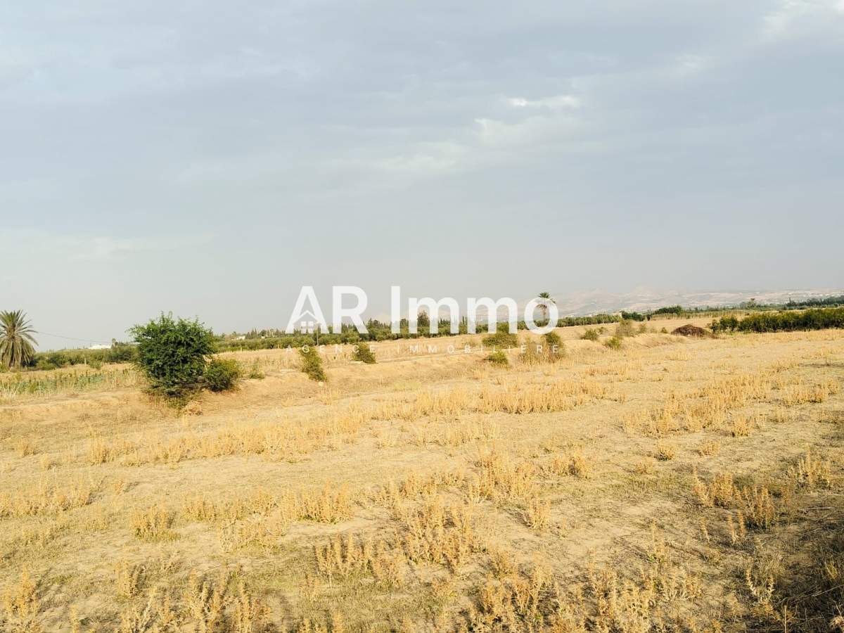 Tebourba Tebourba Vente Autre Lots de terrains   jedaida