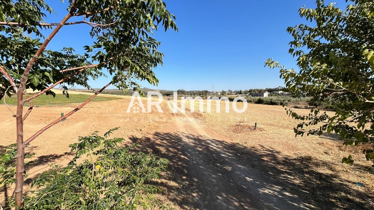 Tebourba Tebourba Vente Autre Terrain agricole et habitable