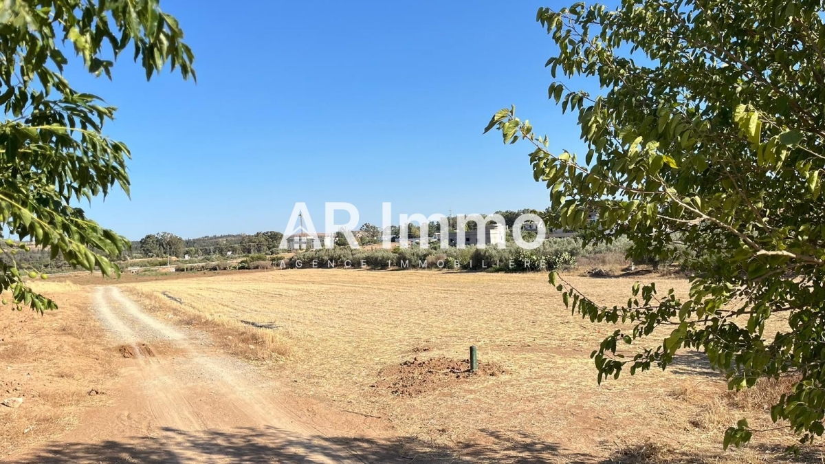 Tebourba Tebourba Vente Autre Terrain agricole et habitable