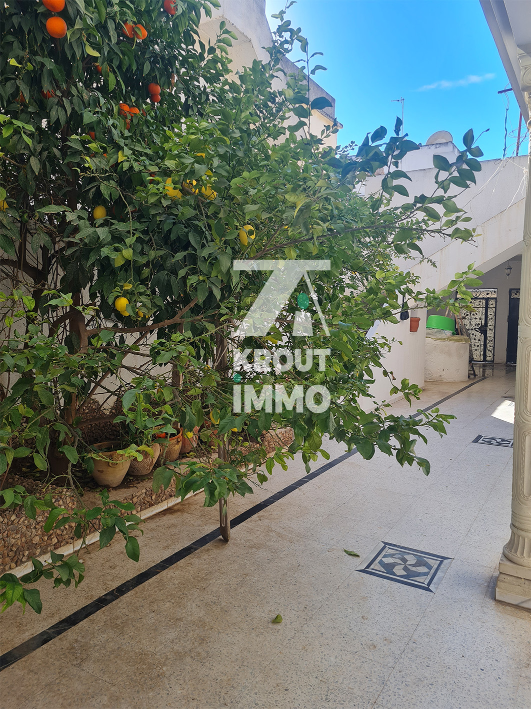 El Omrane Superieur Cite El Intilaka Vente Maisons Une superbe villa  cit intilaka