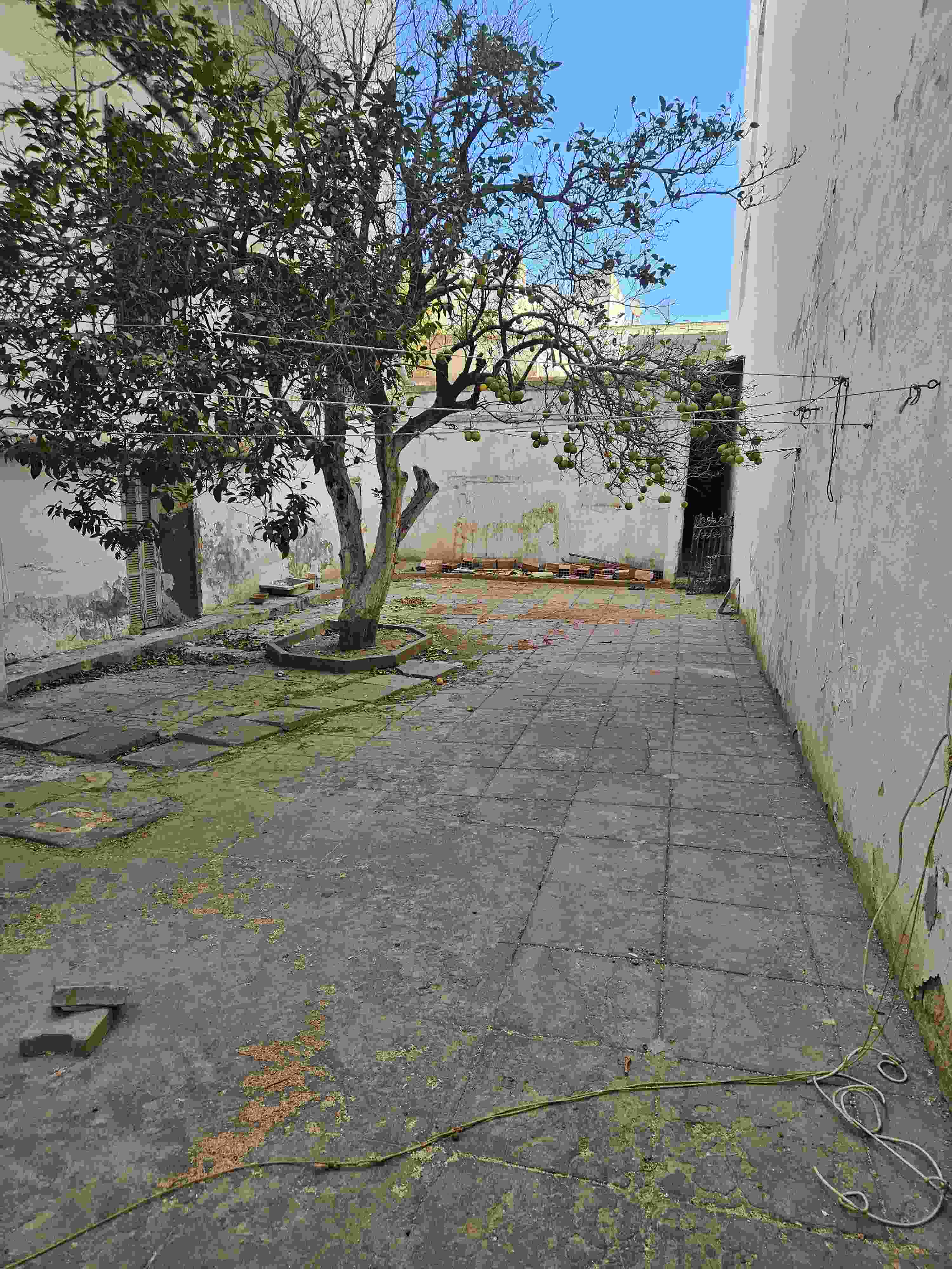 Sidi El Bechir Monfleury Vente Maisons Maison et studio et magasin 600m2 tunis