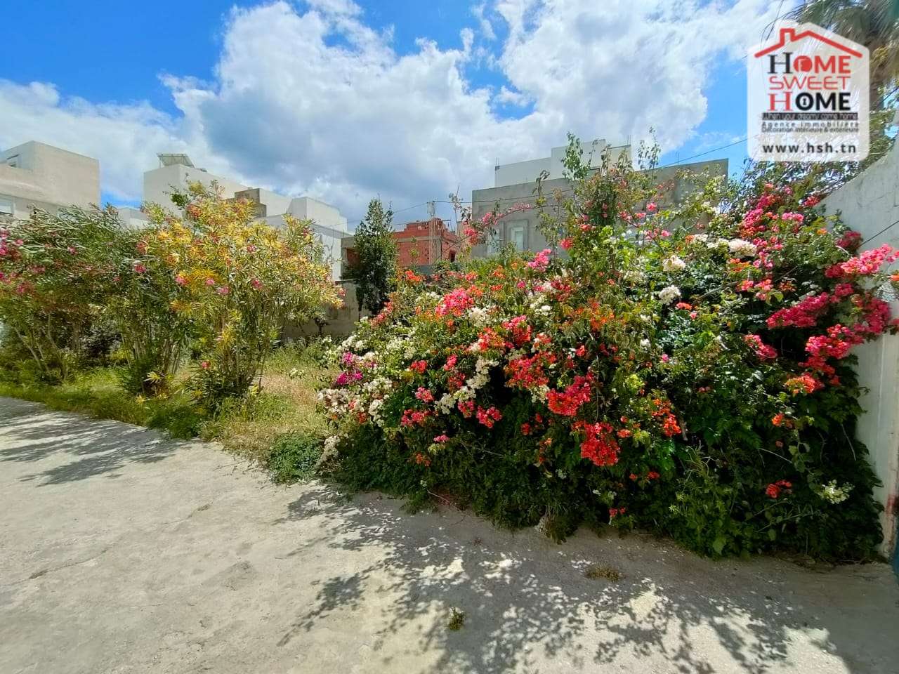 Hammam Lif Hammam Lif Terrain Terrain nu Terrain villa sevilla  hammam lif