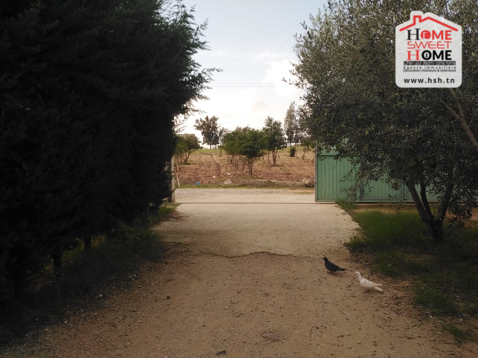 Soliman Cherifate Terrain Terrain agricole Ferme rucher  cherifet soliman