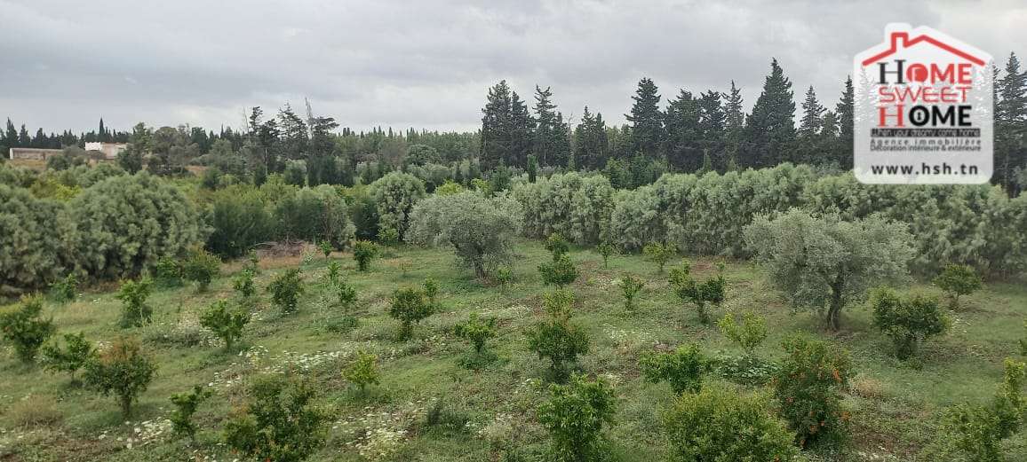 Soliman Cherifate Terrain Terrain agricole Ferme margherita  sliman