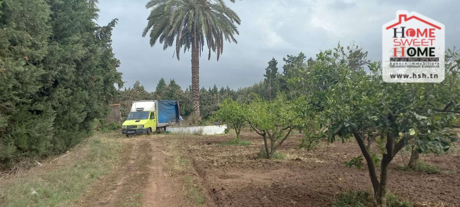 Soliman Cherifate Terrain Terrain agricole Ferme margherita  sliman