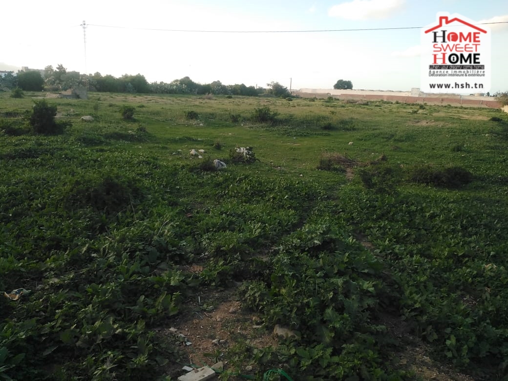 Soliman Soliman Terrain Terrain nu Terrain delta  soliman