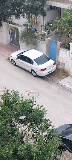 Megrine Megrine Volkswagen Passat Passat tdi bluemotion