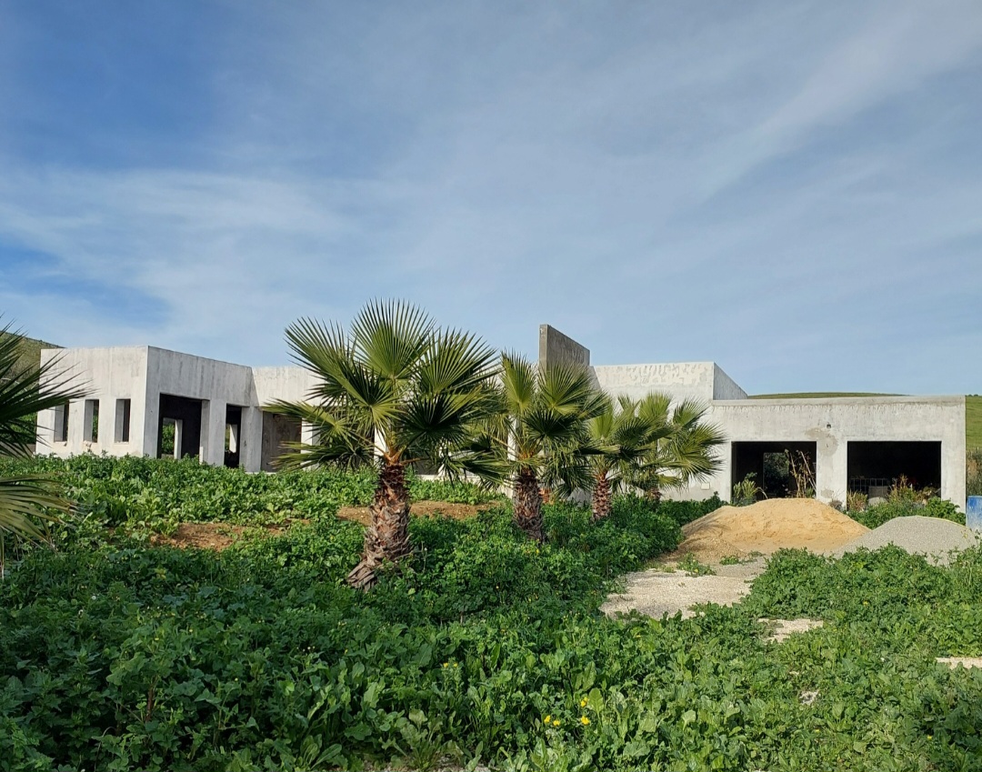 Sidi Thabet Chorfech 2 Vente Maisons Cause dpart maison et 1 hectar