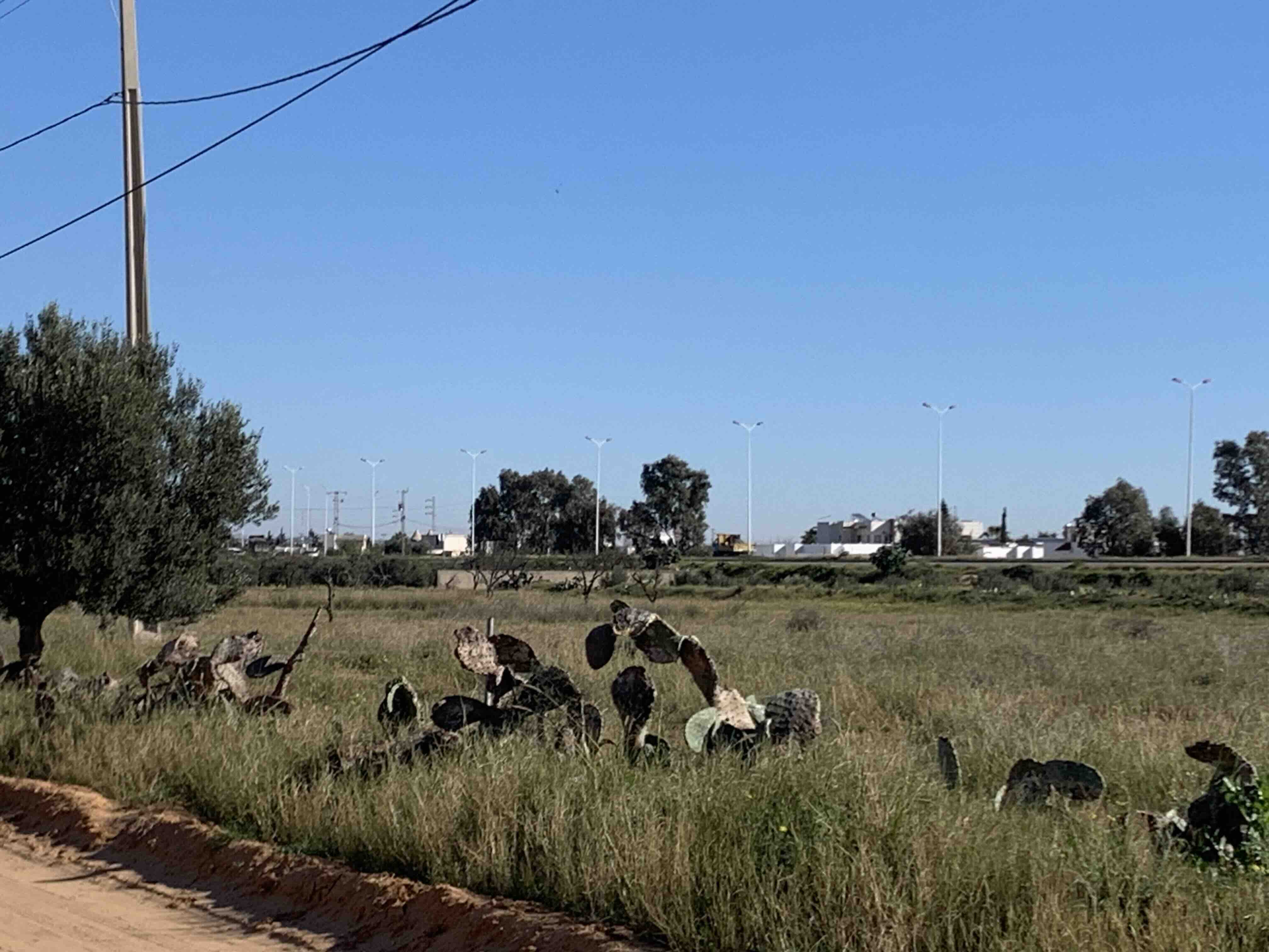 Sfax Sud El Aouabed Terrain Terrain nu Terrain nu de 902 m2