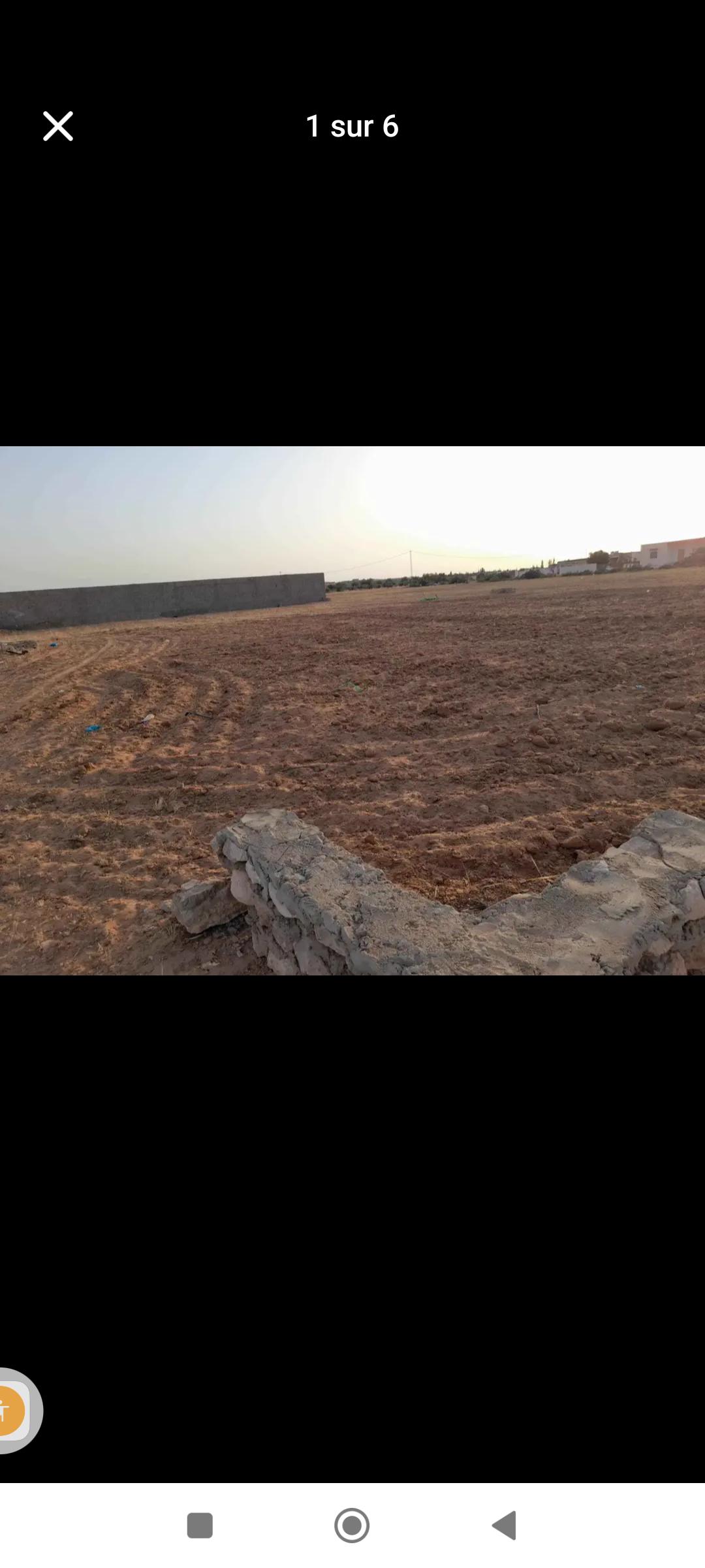 Sfax Sud El Hajeb Terrain Terrain nu Terrain pour acheter