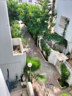 Ain Zaghouan Ain Zaghouan Location Appart. 1 pice Particulier loue un spacieux s plus1  ainzaghouan