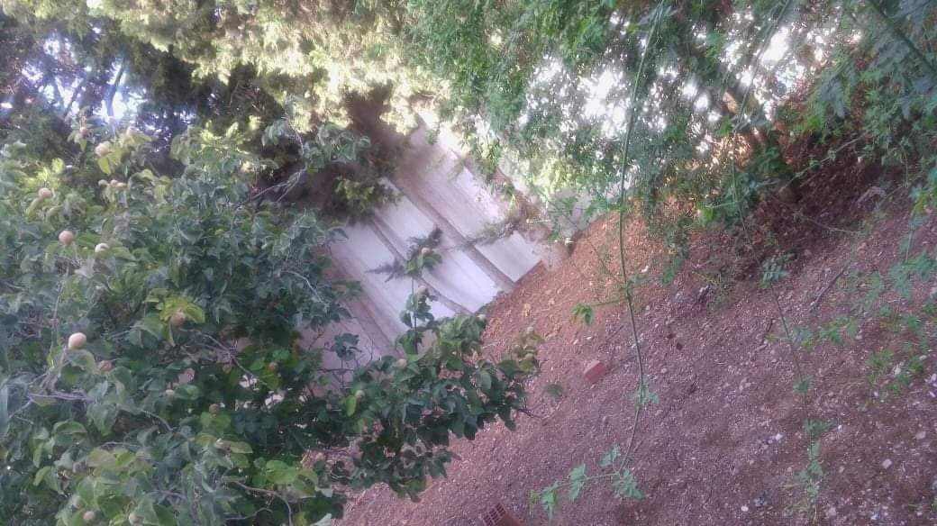 Ariana Ville El Menzah 8 Location Appart. 3 pices Une maison indpendante rez jardin