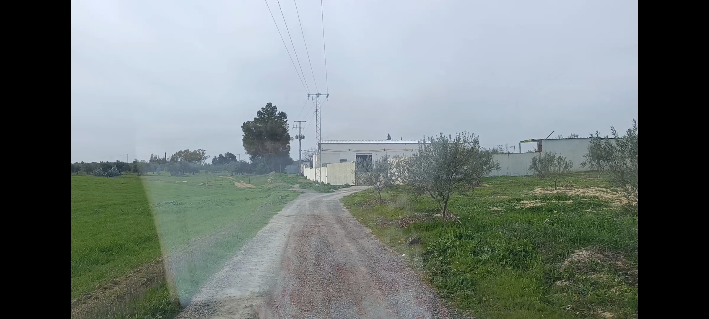 Mejez El Bab Sidi Mediene Vente Autre Ferme oliviers avec une huilerie moderne