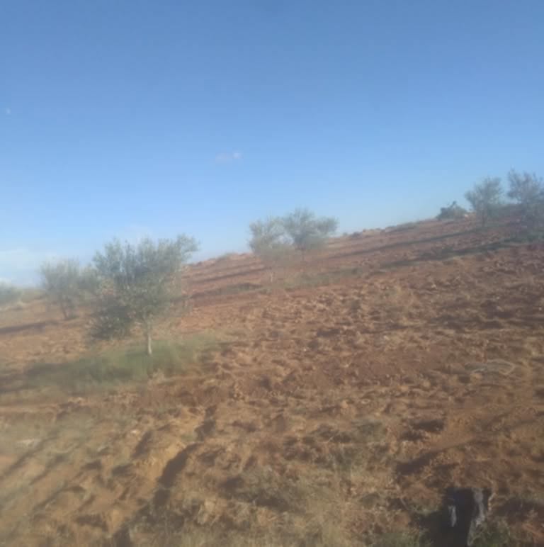 Sidi Makhlouf El Grine Vente Autre Senya  medenine