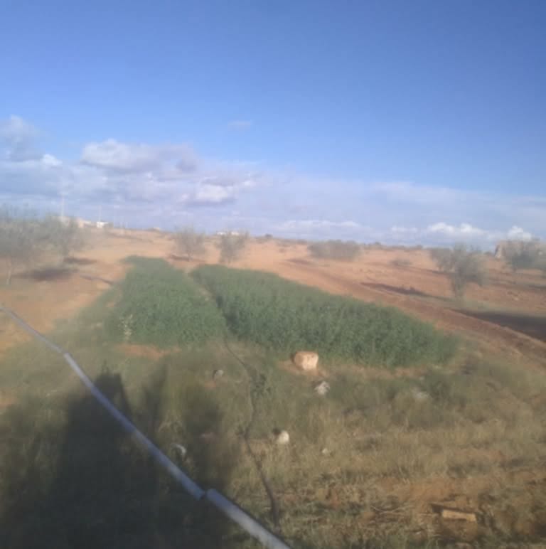 Sidi Makhlouf El Grine Vente Autre Senya  medenine