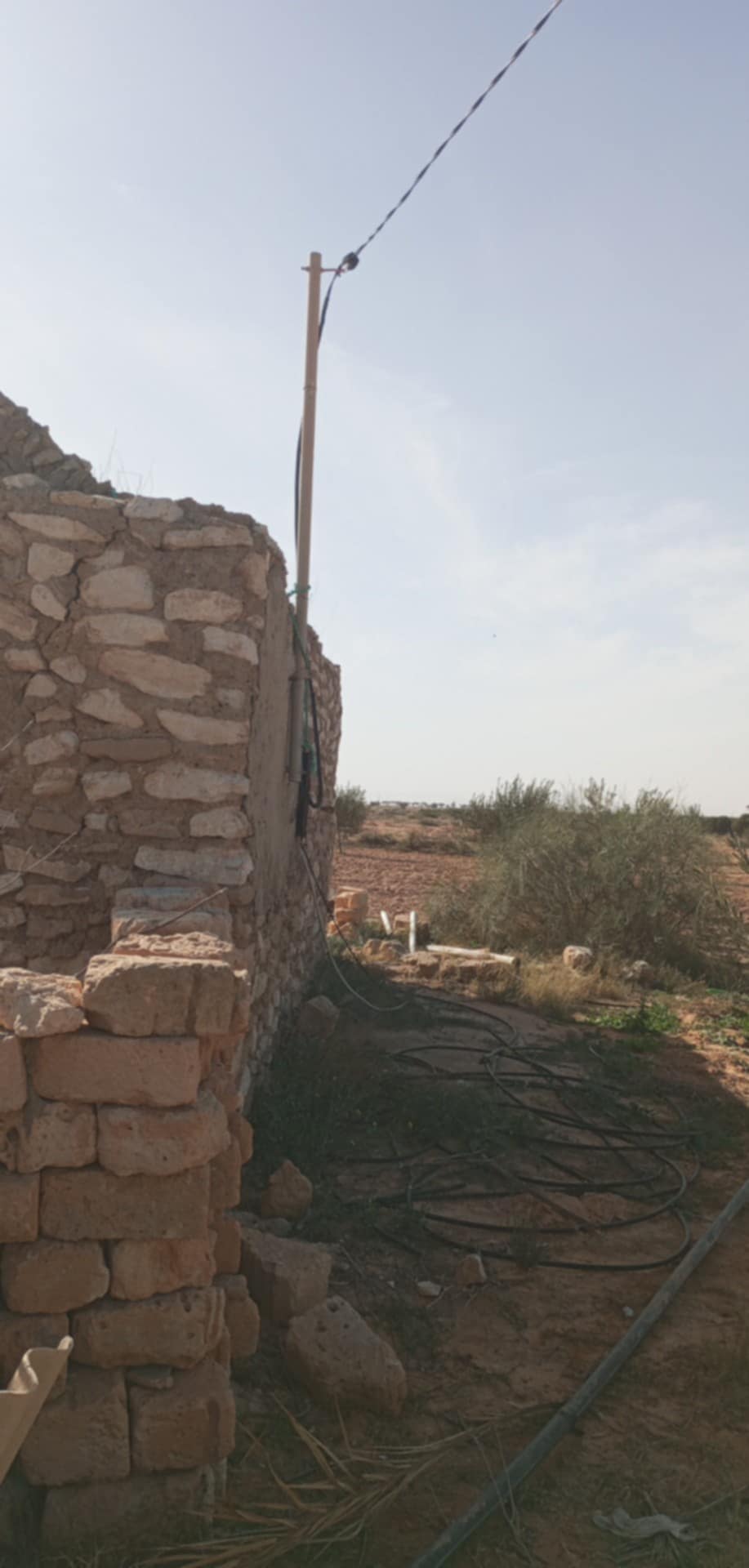 Sidi Makhlouf El Grine Vente Autre Senya  medenine