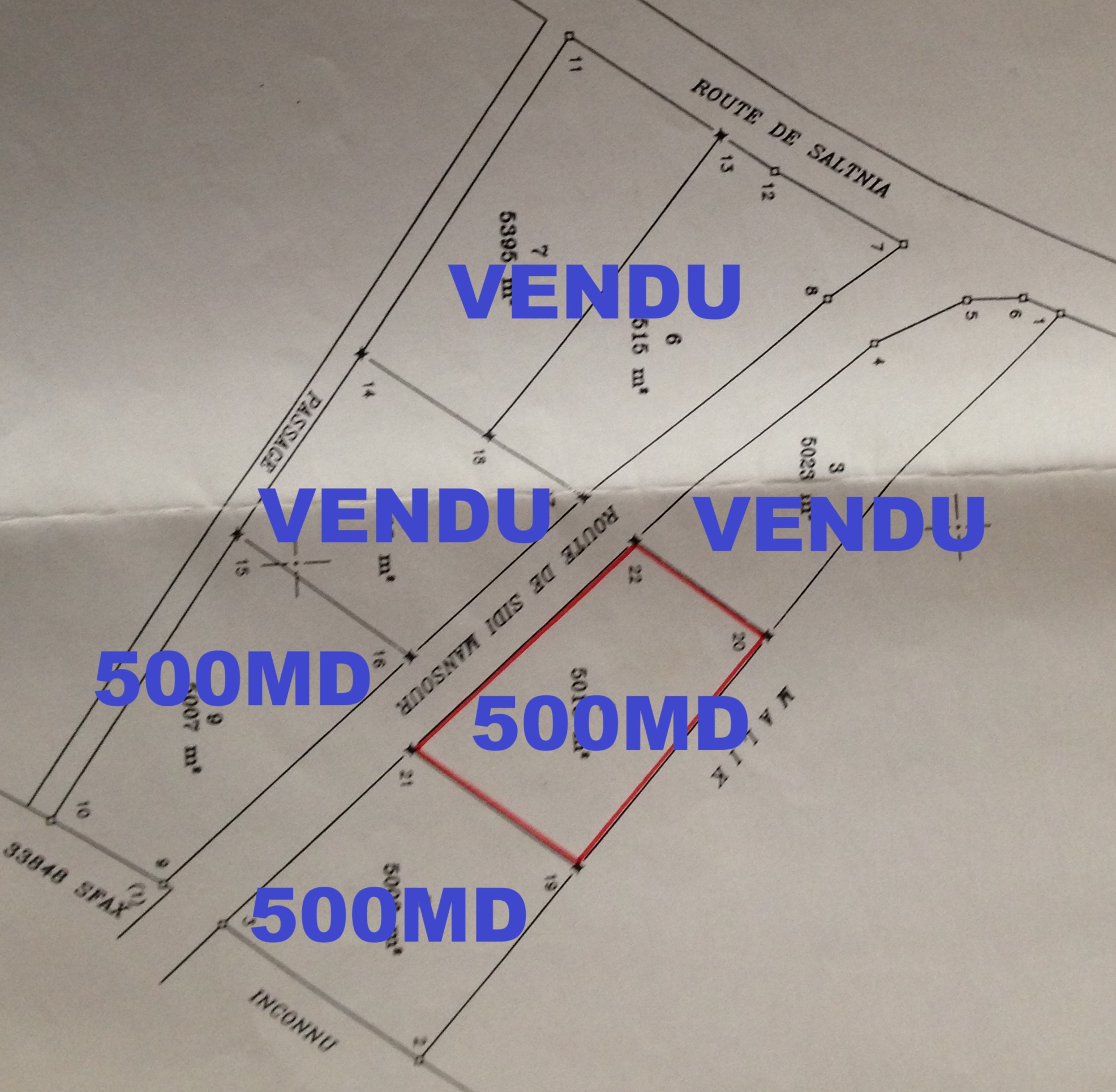 Sakiet Eddaier Essaltania Terrain Terrain nu Trois lots  saltnia titre foncier
