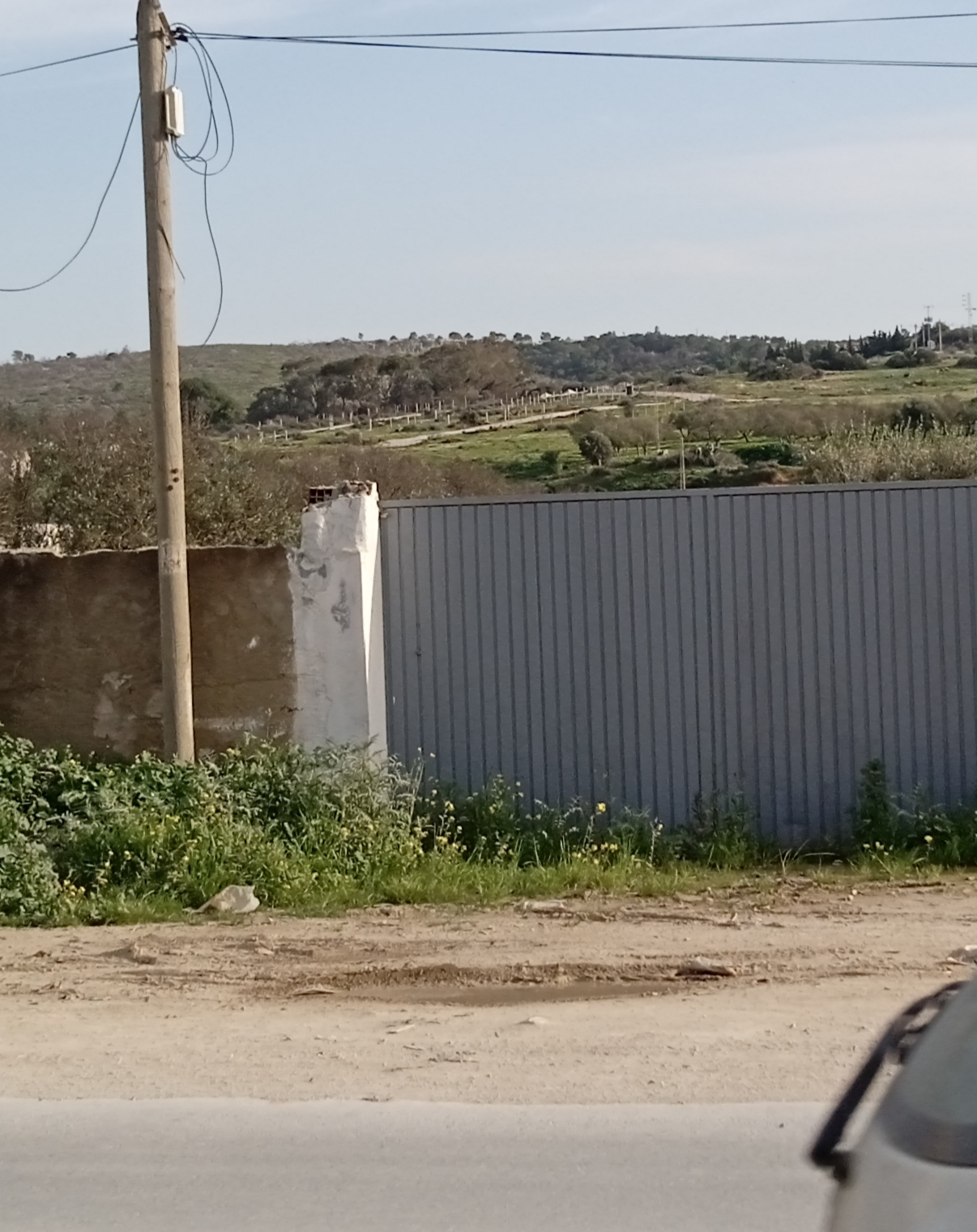 Raoued Borj Touil Terrain Terrain nu Terrain  borjtouil