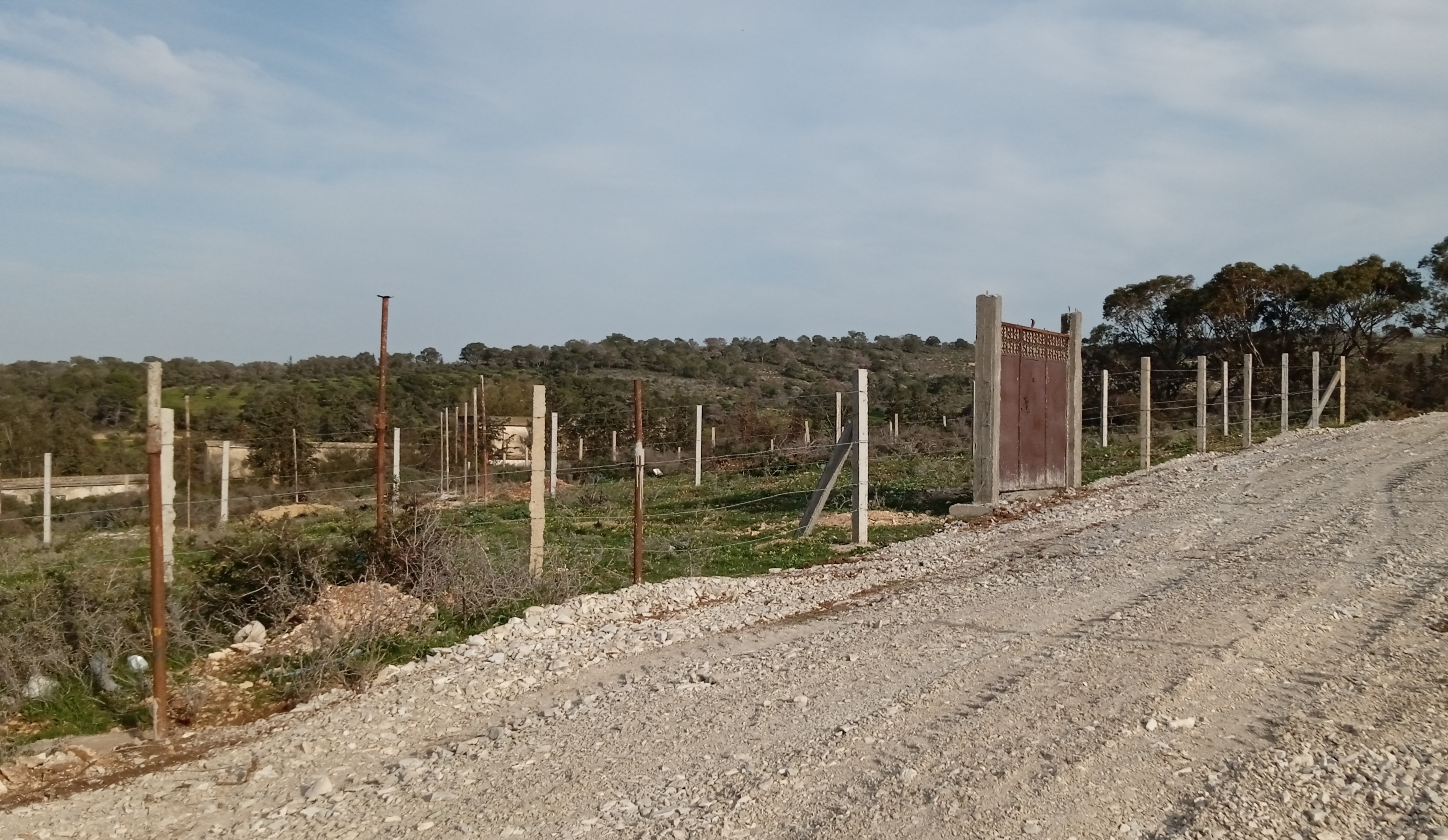 Raoued Borj Touil Terrain Terrain nu Terrain  borjtouil