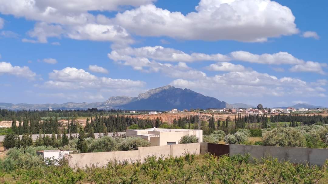 Mohamadia Mohamadia Vente Autre Villa et terrain agricole  khelidia ben arous