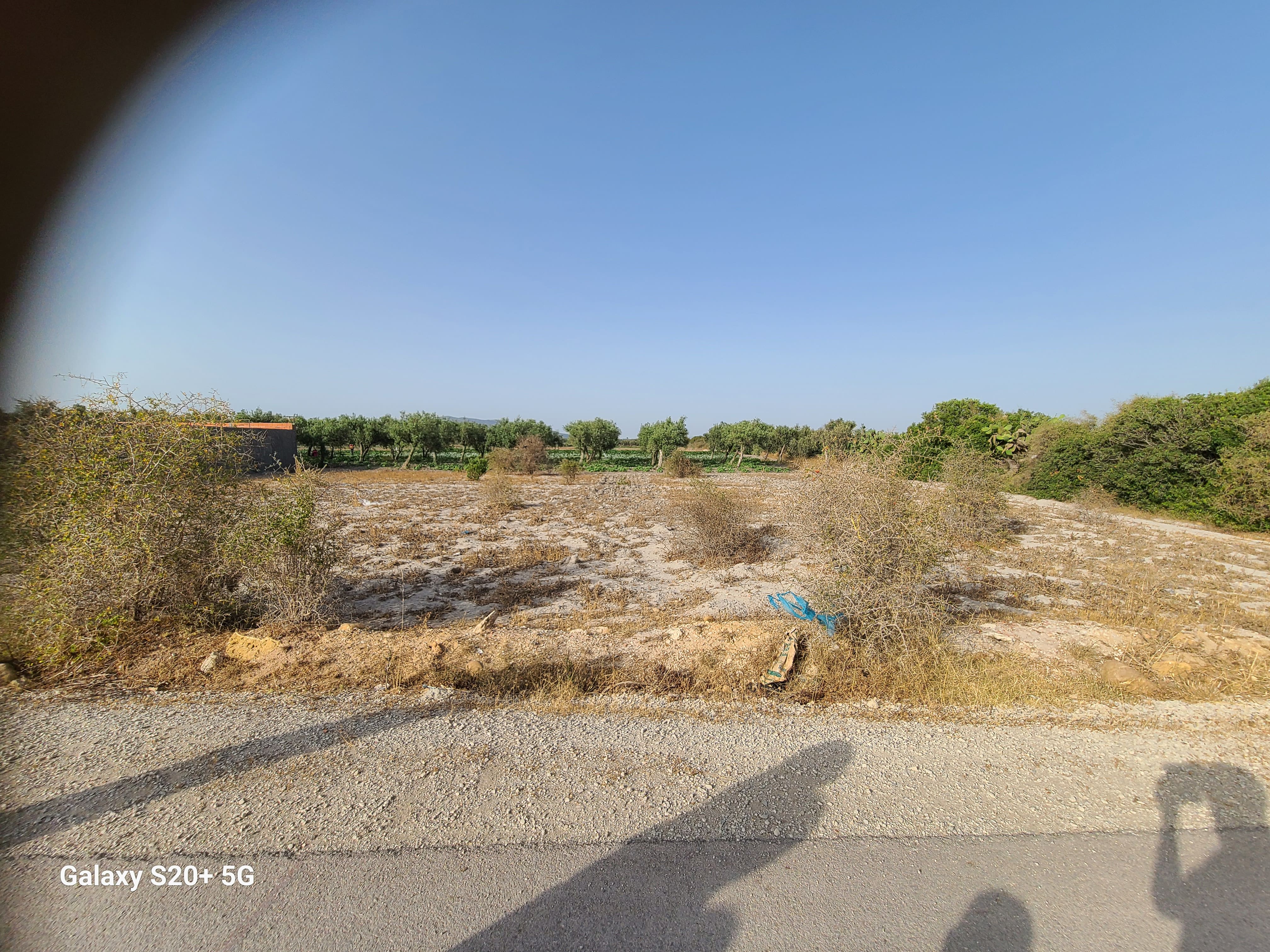 Soliman El Marja Vente Autre Ventre terrain constructible