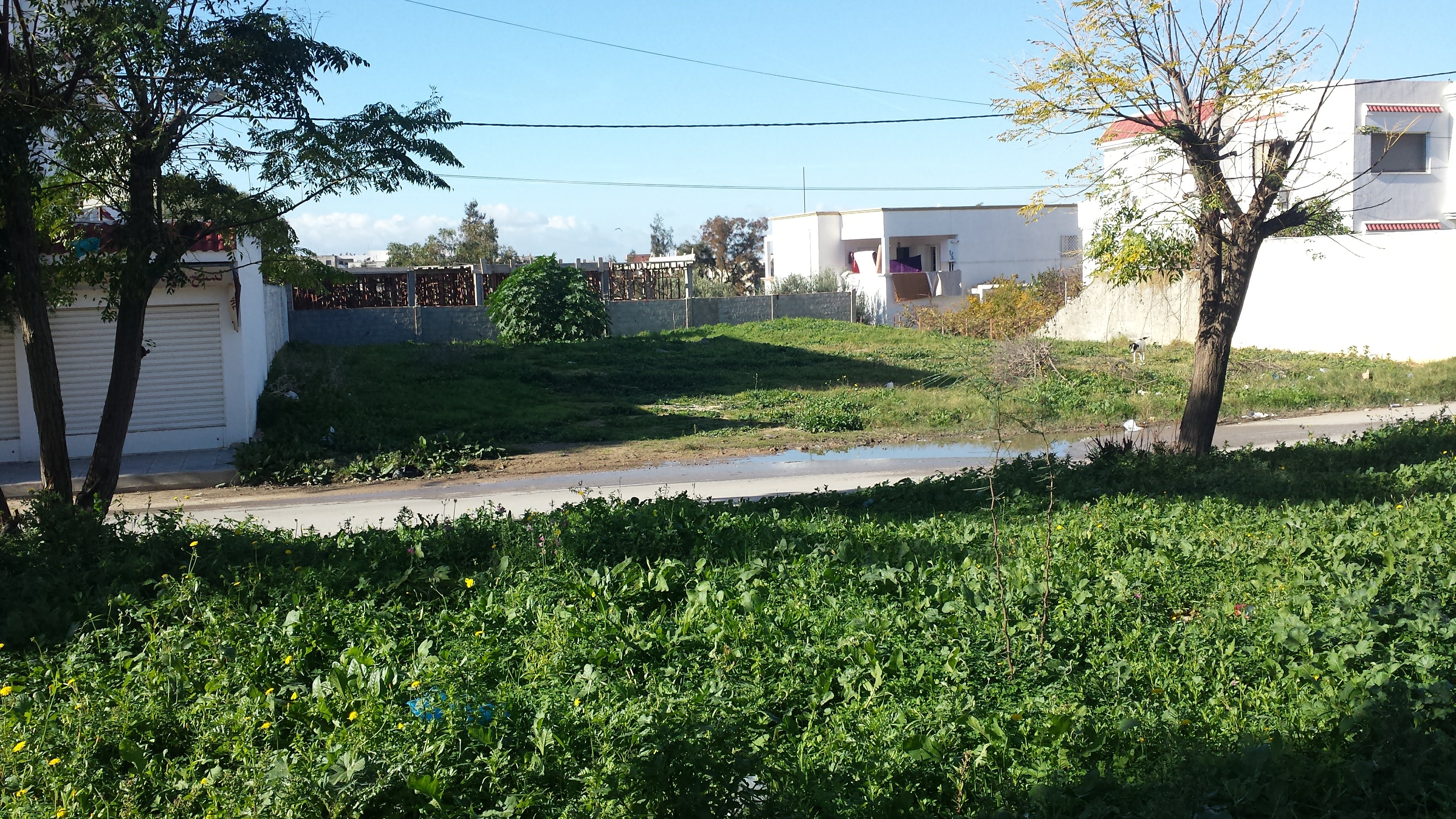 El Omrane Superieur Cite Ibn Khaldoun I Terrain Terrain nu Terrain nu 718 mtres carrs situ  la romana 2