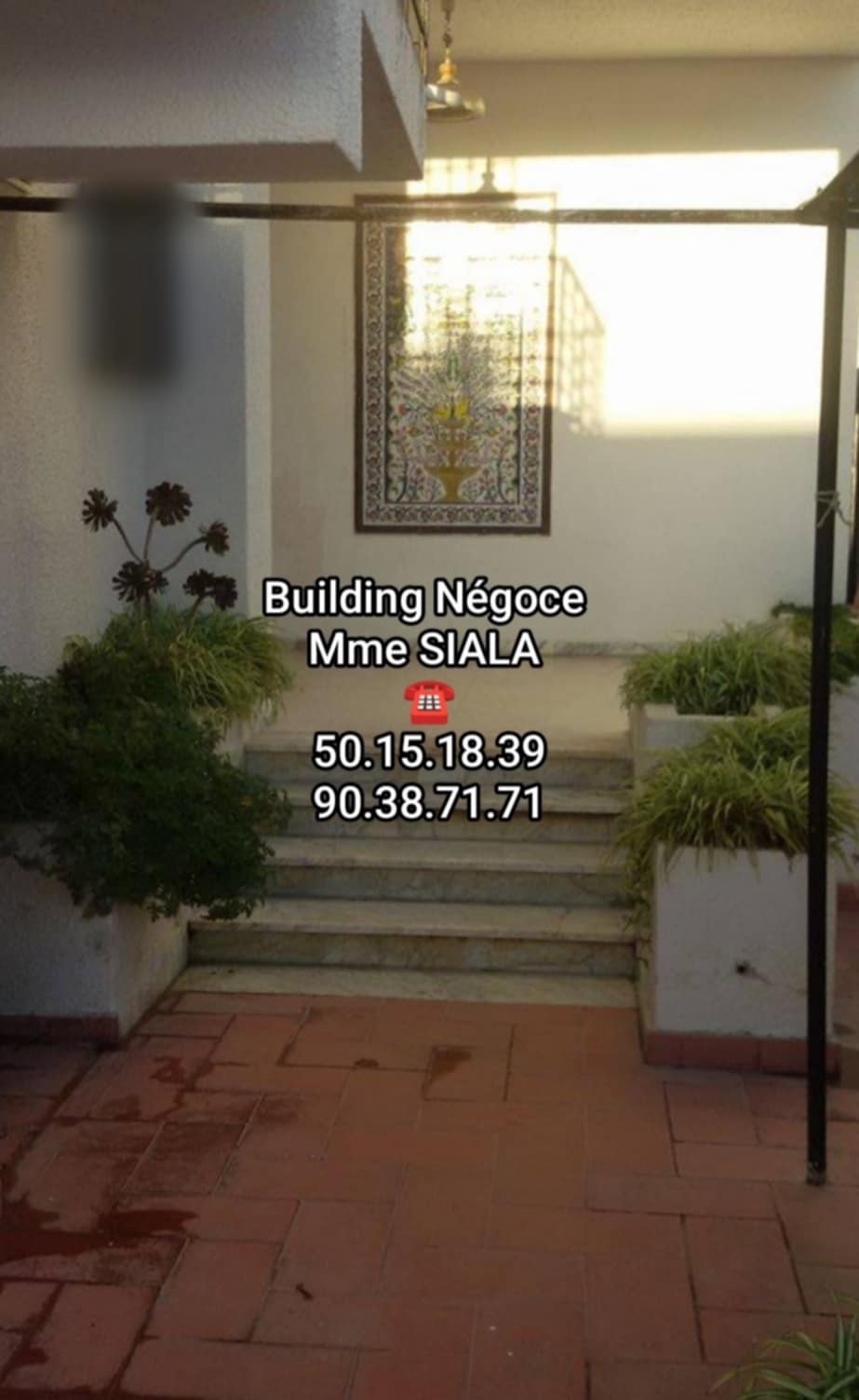 La Soukra Borj Louzir Location Maisons Rdc villa s3  borj louzir avec jardin