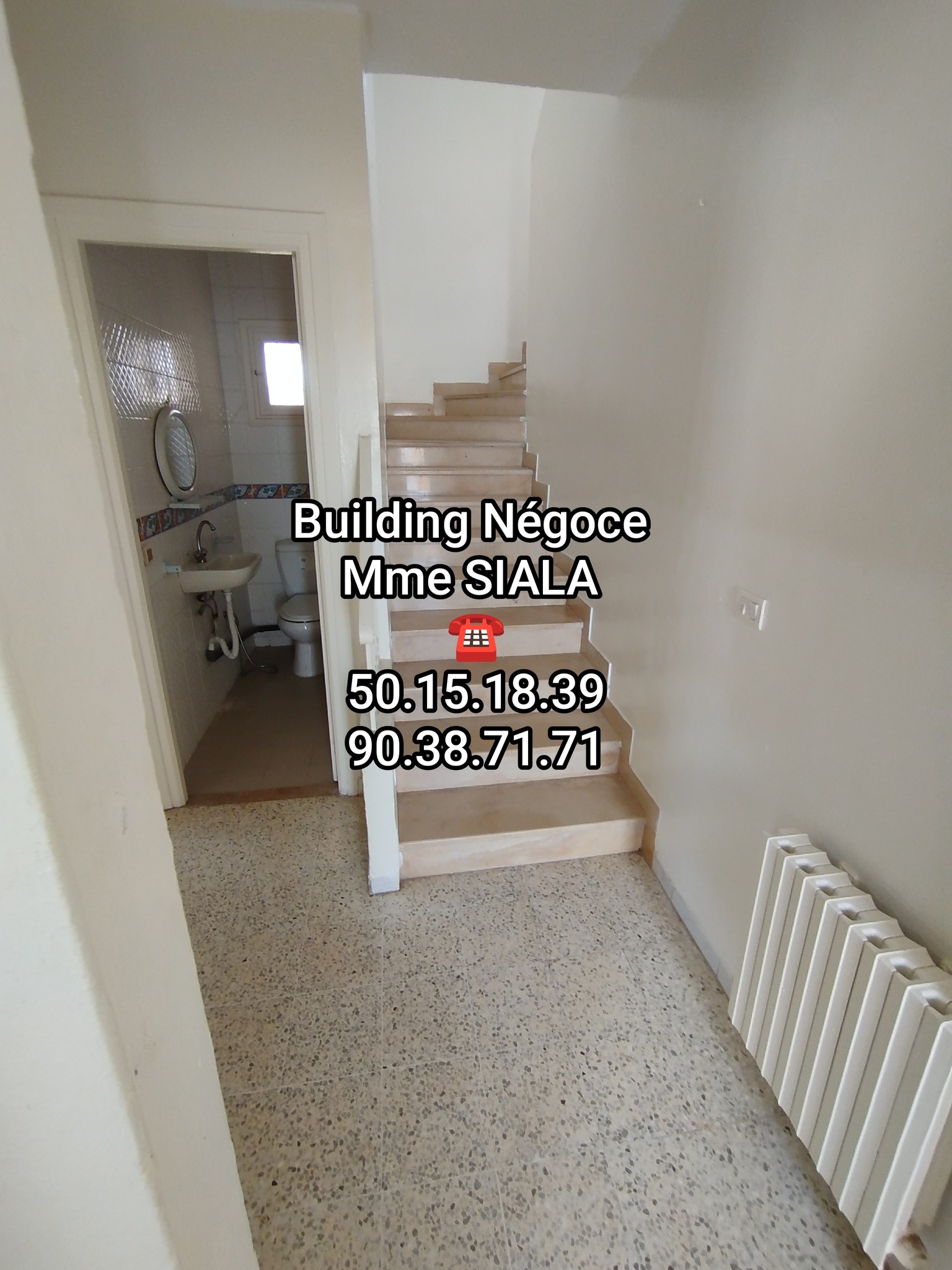 La Soukra Borj Louzir Location Maisons Borj louzir villa s4 avec jardin
