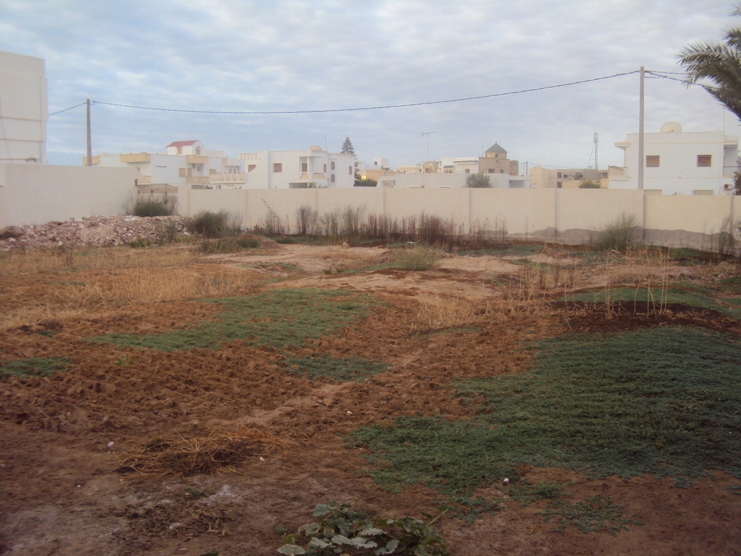 Sfax Sud El Ain Terrain Terrain nu Terrain 1737 m2 route el ain  km 2