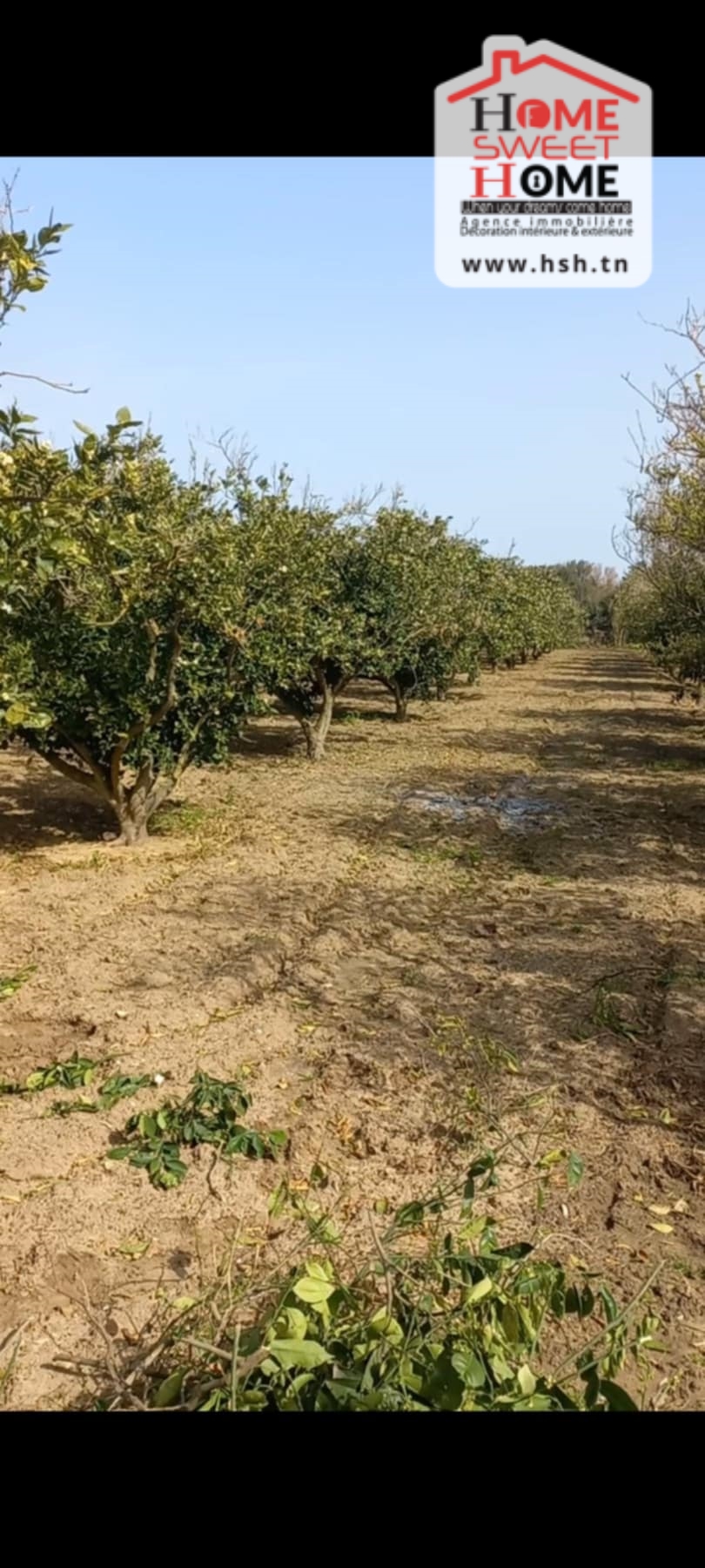 Bizerte Nord Bizerte Terrain Terrain nu Terrain massilia ras jbal