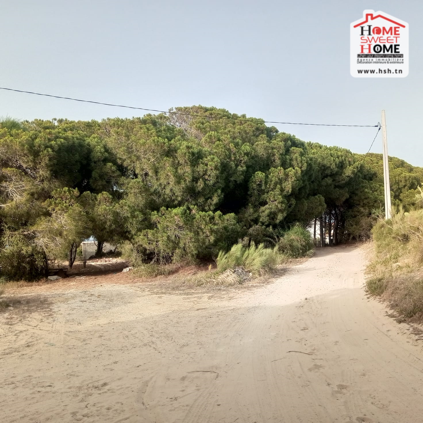 Ras Jebel Beni Atta Terrain Terrain nu Terrain habitation karma  ras jbal bizerte