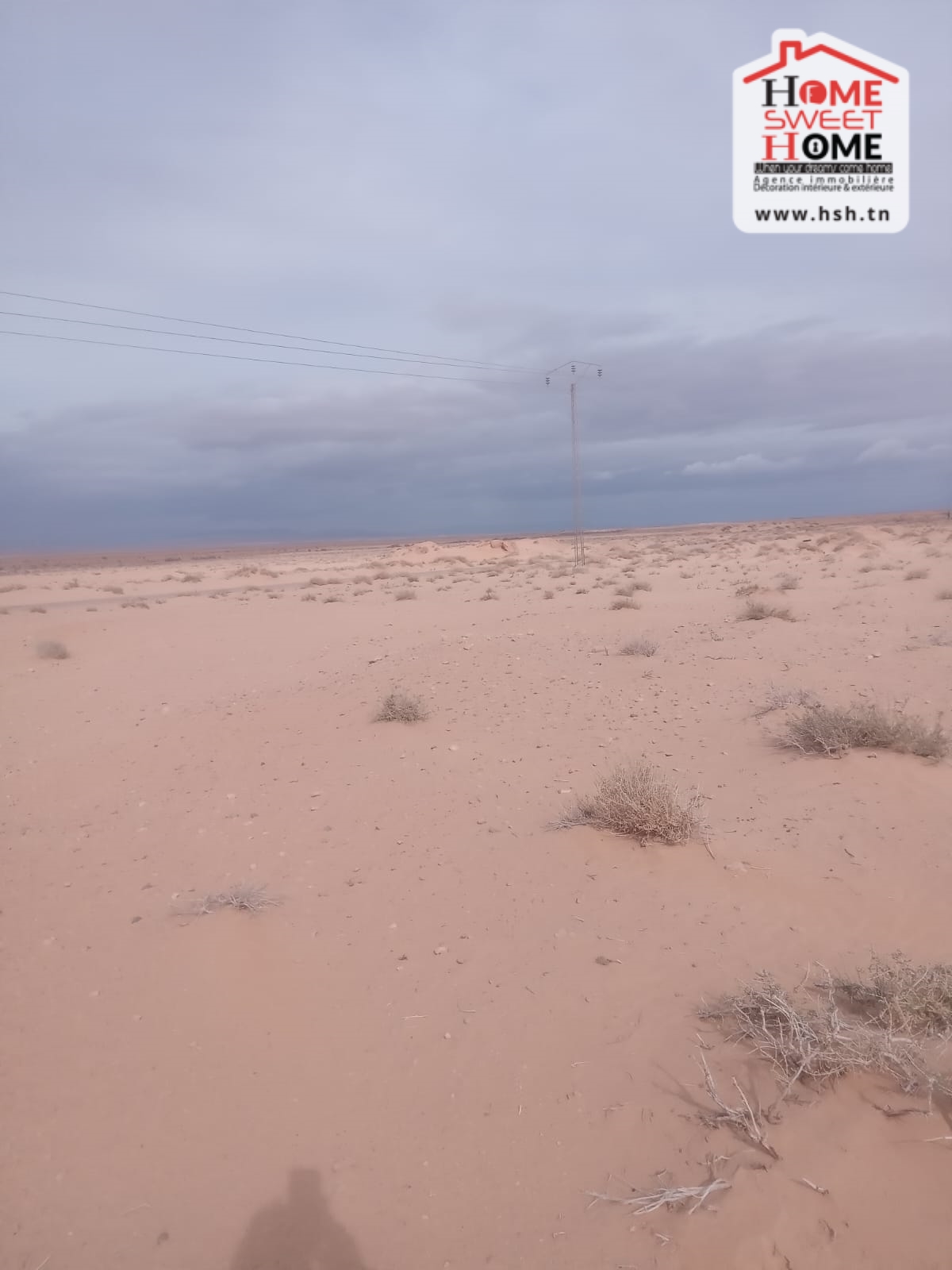 Metlaoui Metlaoui Terrain Terrain agricole Terrain agricole kiara  metlaoui gafsa