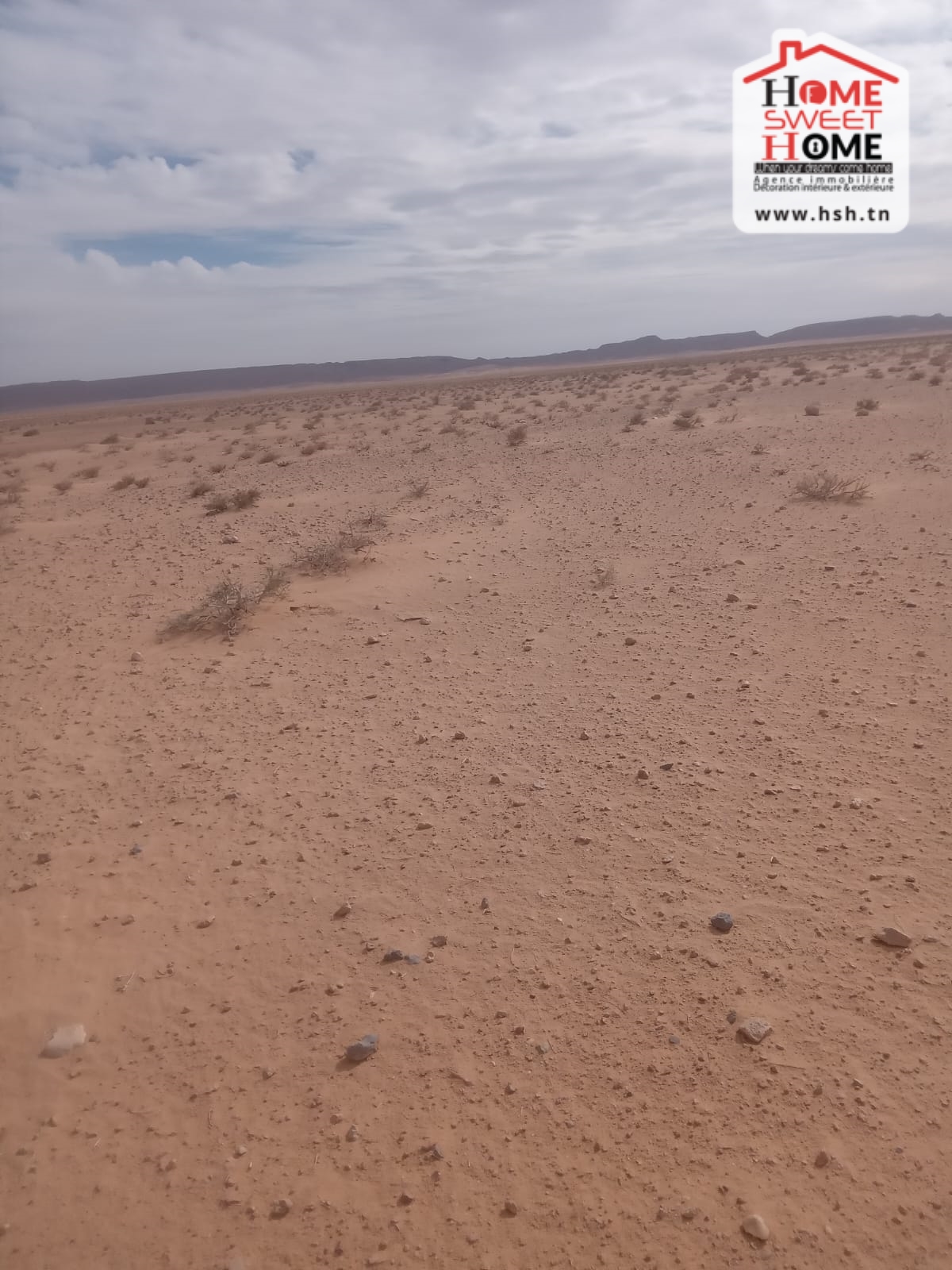Metlaoui Metlaoui Terrain Terrain agricole Terrain agricole kiara  metlaoui gafsa