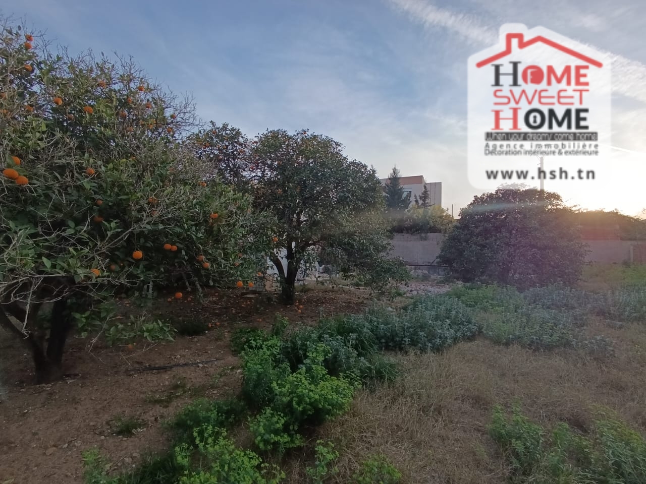 La Soukra La Soukra Terrain Terrain nu Terrain villa nijo  la soukra